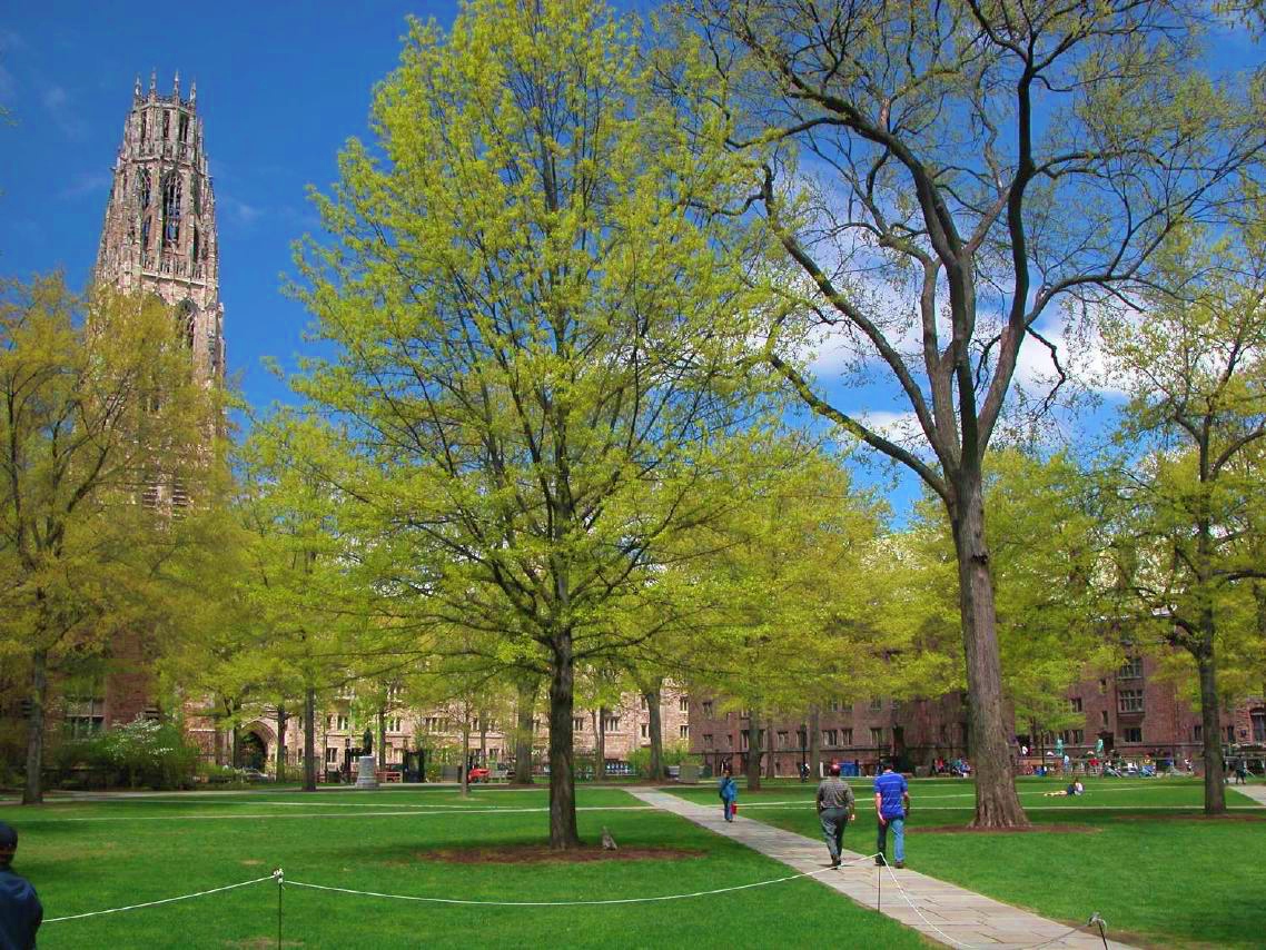 Yale University