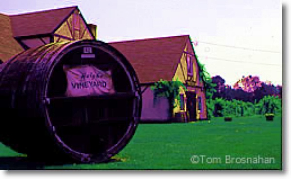 Haight-Brown Vineyard, Litchfield CT