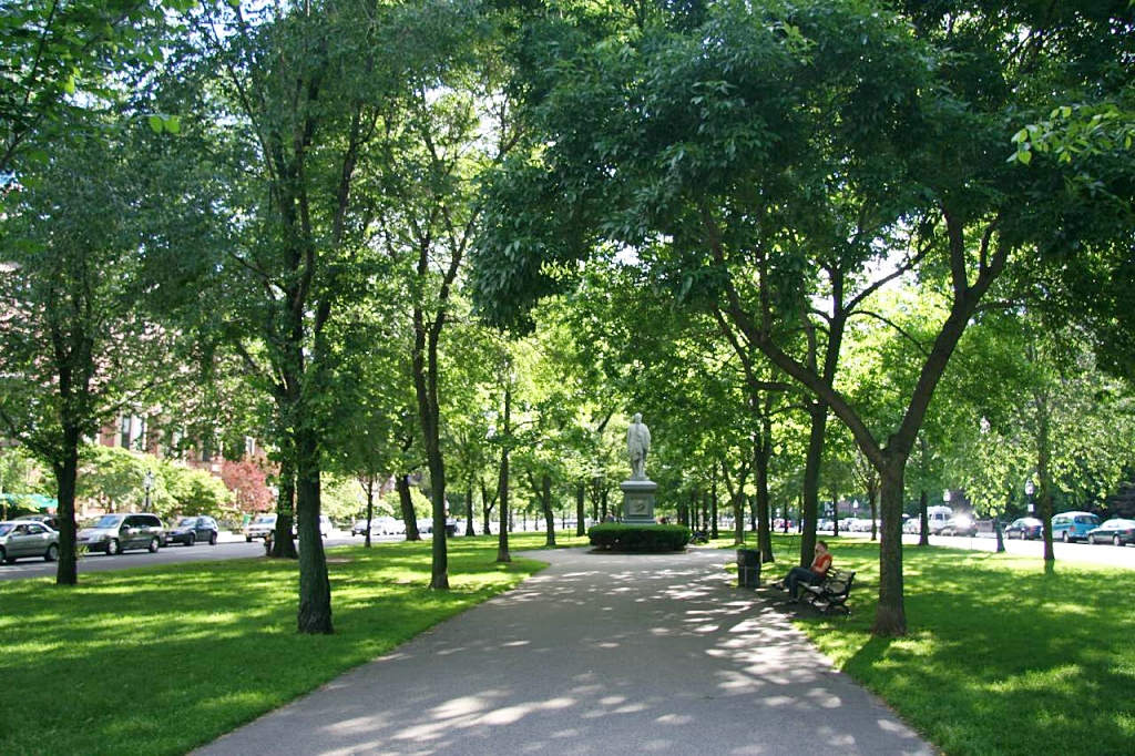 Commonwealth Avenue Mall, Boston MA