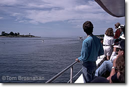 Whalewatchers, New England