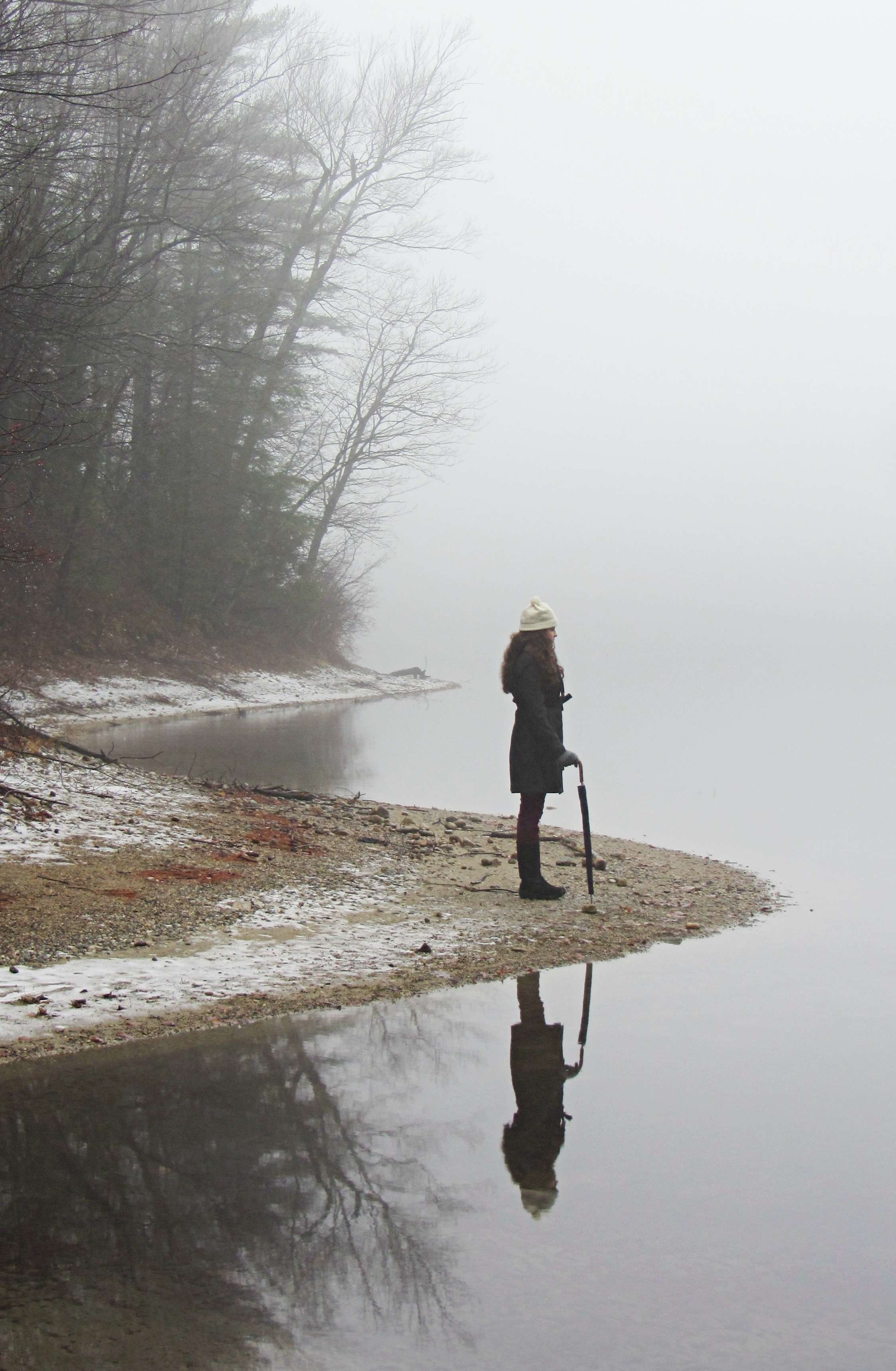 Still figure at Walden Pond in winter.