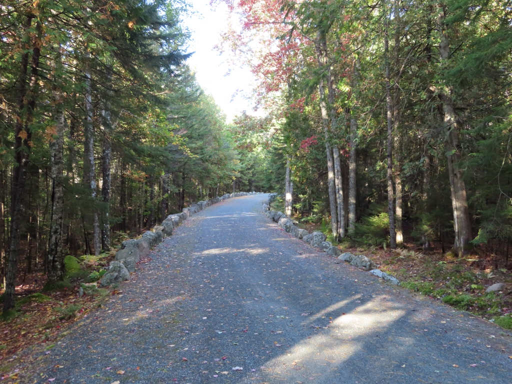 Carriage Road, Acadia National Park, Maine