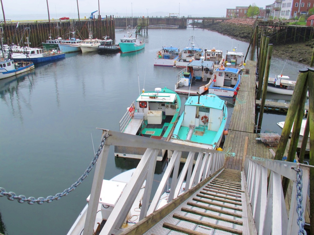 Harbor at Eastport, Maine