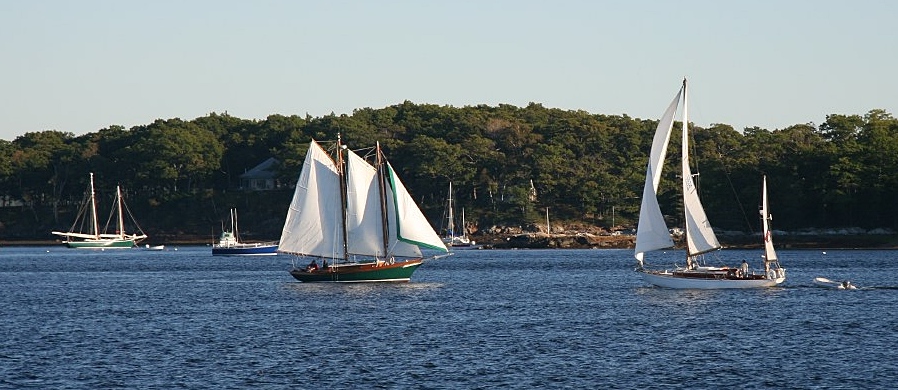 Sailboats in Penobscot Bay near Castine MED