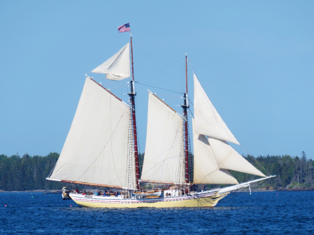 Boats in Penobscot Bay, Maine