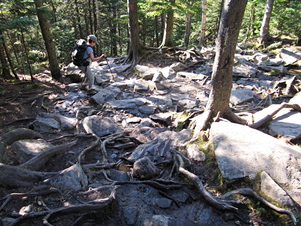 Cardigan Mountain West  Trail, New Hampshire