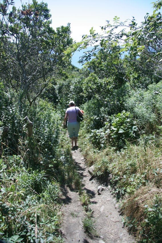 Path to Vail Beach, Block Island RI