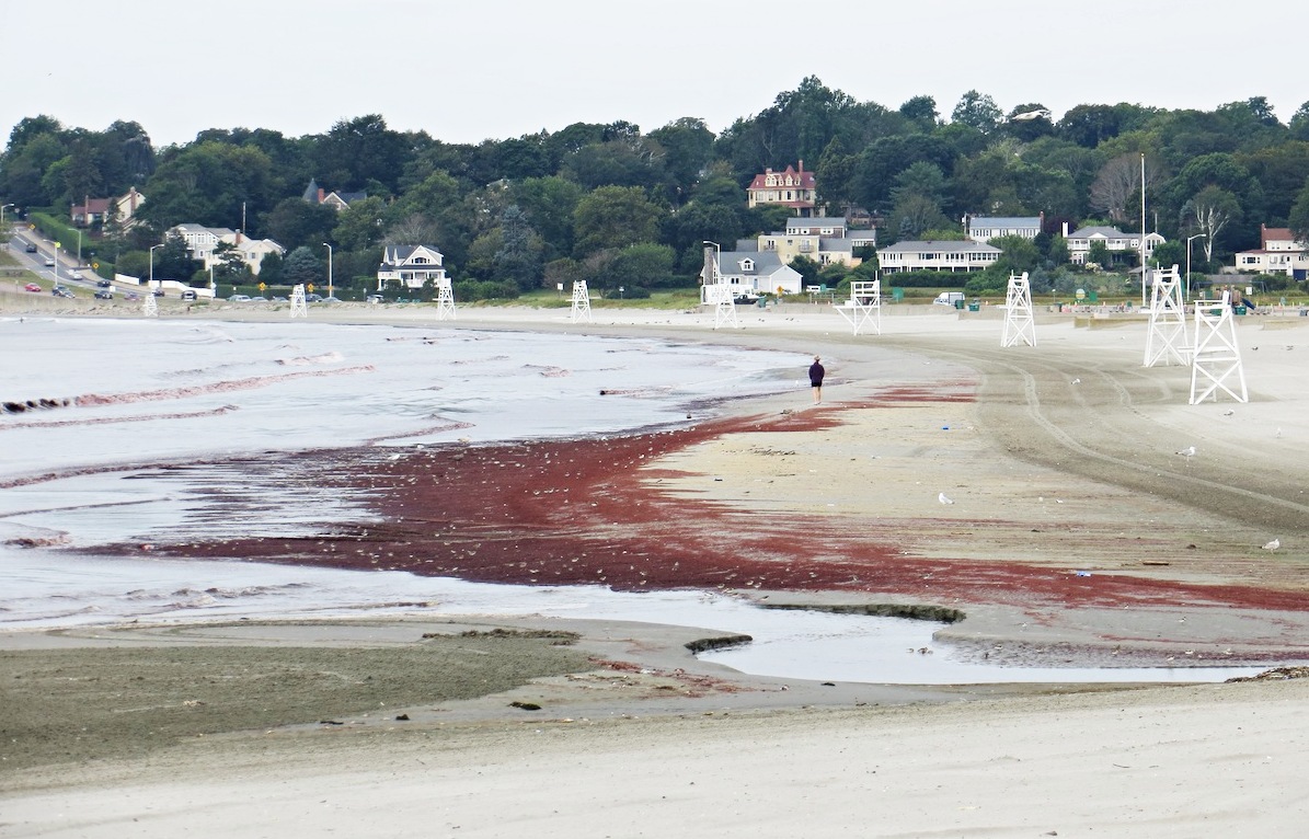 EAston's (First) Beach, Newport RI