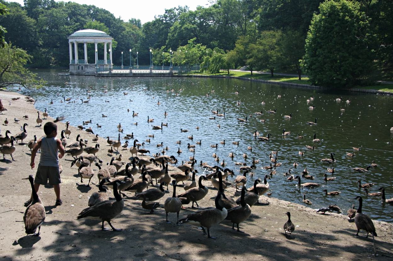 Roger Williams Park, Providence RI